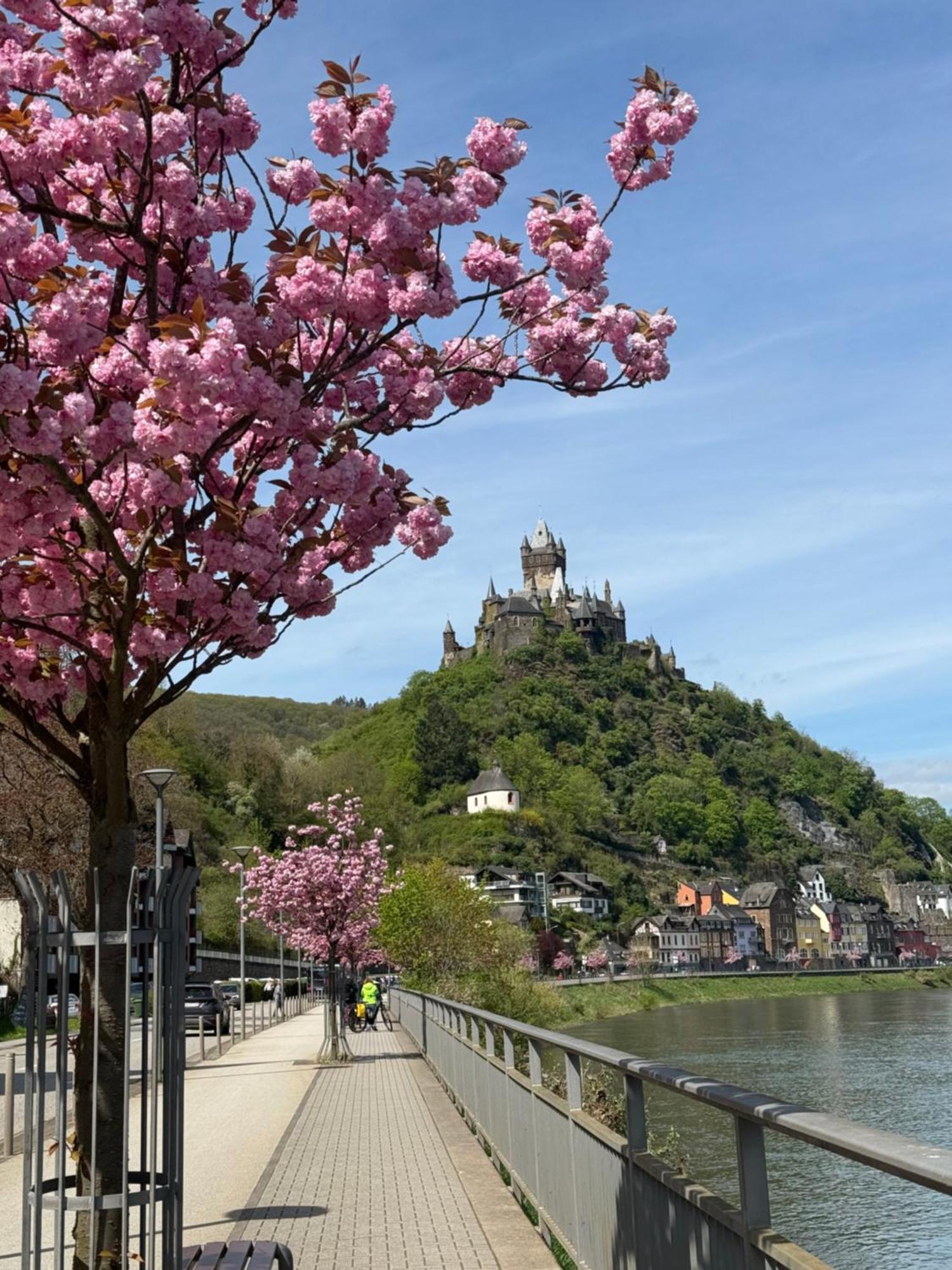 Haus Rubi Apartment Cochem Exterior photo
